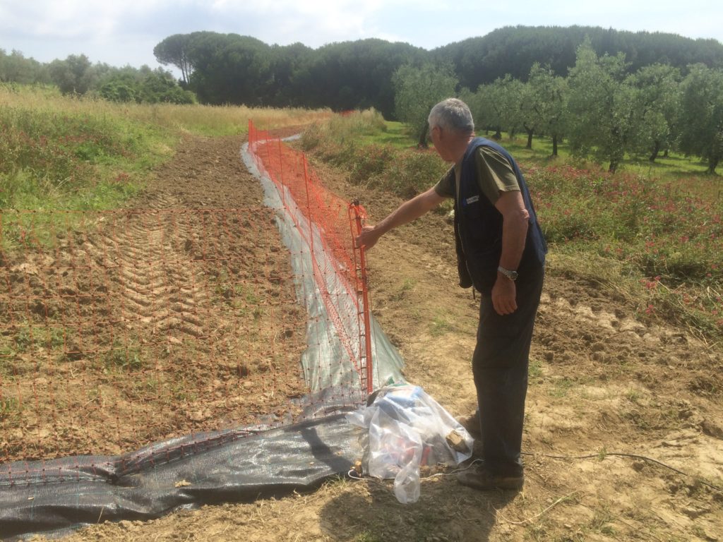 Recinto di ambientamento lepri