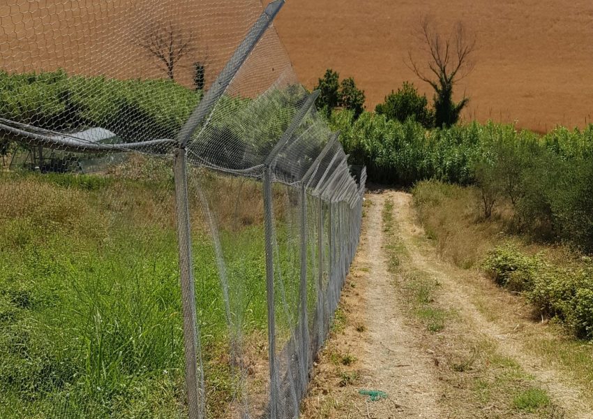 Strutture di ambientamento