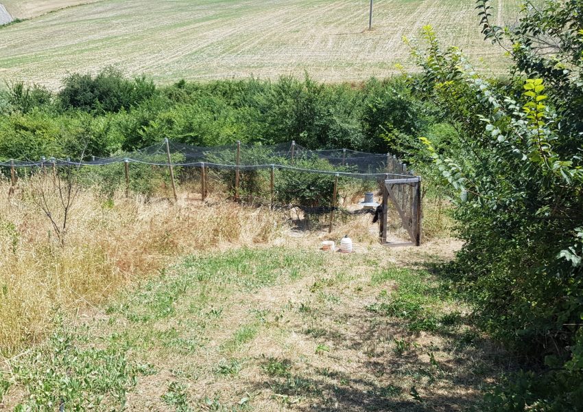 Strutture di ambientamento