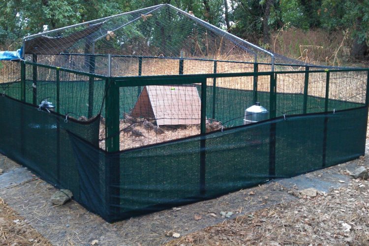 Progetto Pernice