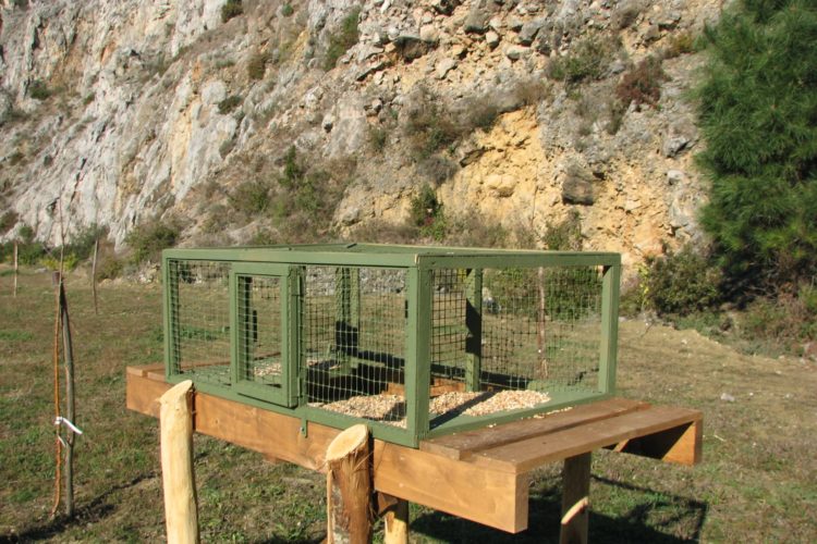 Progetto Pernice